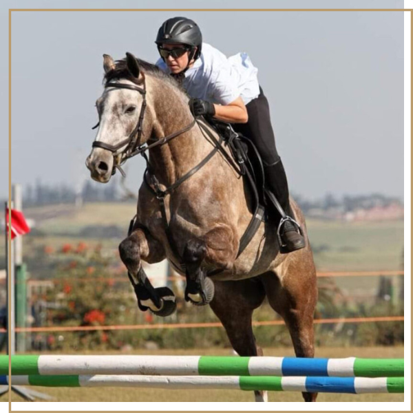 Jay Wainer on horse show jumping